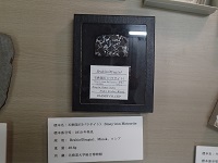 【活動報告】2014年11月1日(土)隕石パラタクソノミスト養成講座（初級）in 山の手博物館