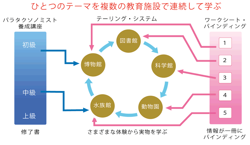 テーリング図