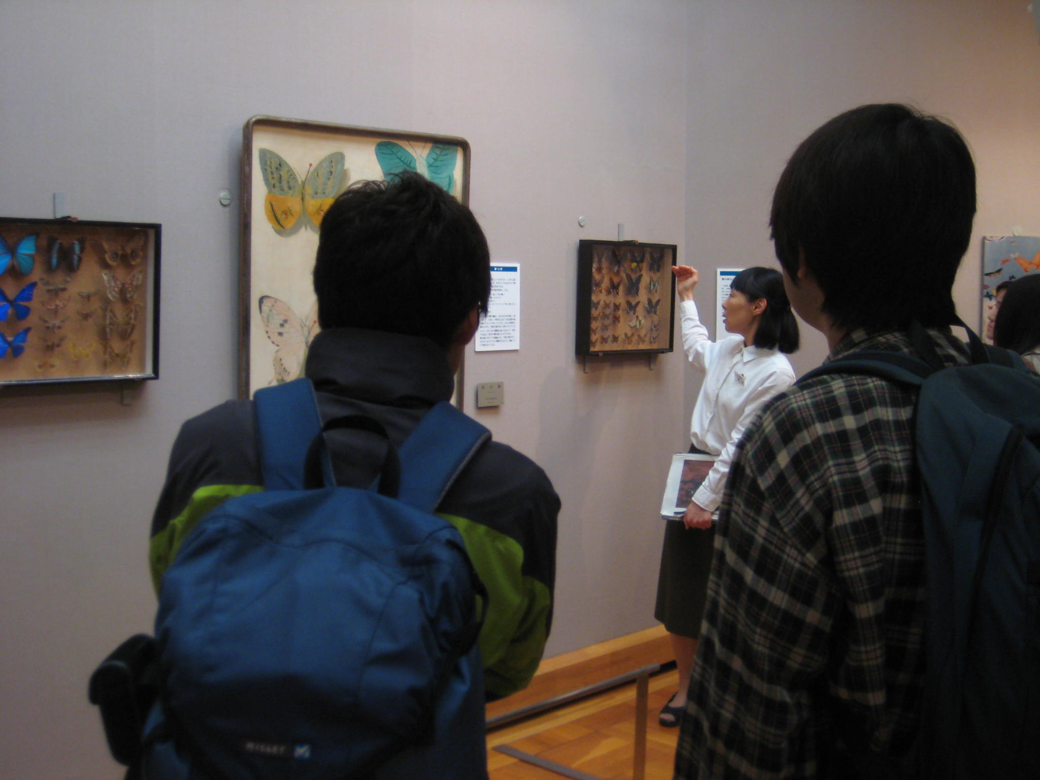 活動報告 LEPIDOPTERA展 展示解説　6月4日　三岸好太郎美術館「蝶と夢」展見学