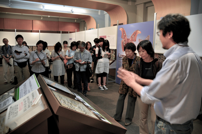 LEPIDOPTERA展 展示解説説明会　6月29日