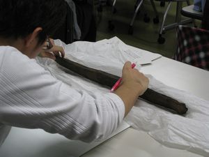【活動報告】10月29日木製品パラタクソノミスト養成講座（初級）