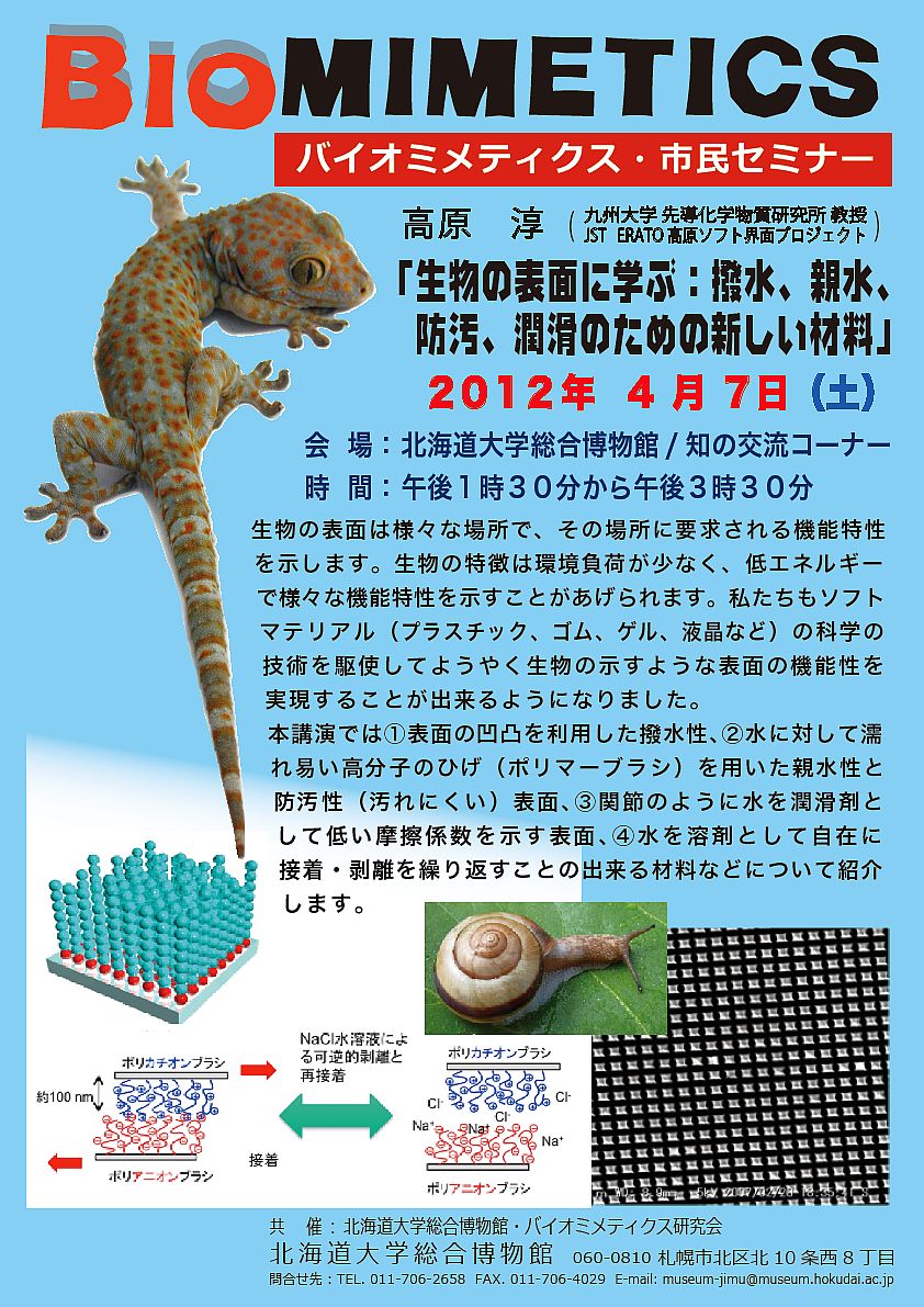 【4月7日 開催】 「バイオミメティクス市民セミナー （第４回） − 生物の表面に学ぶ：撥水、親水、防汚、潤滑のための新しい材料」が開催されます