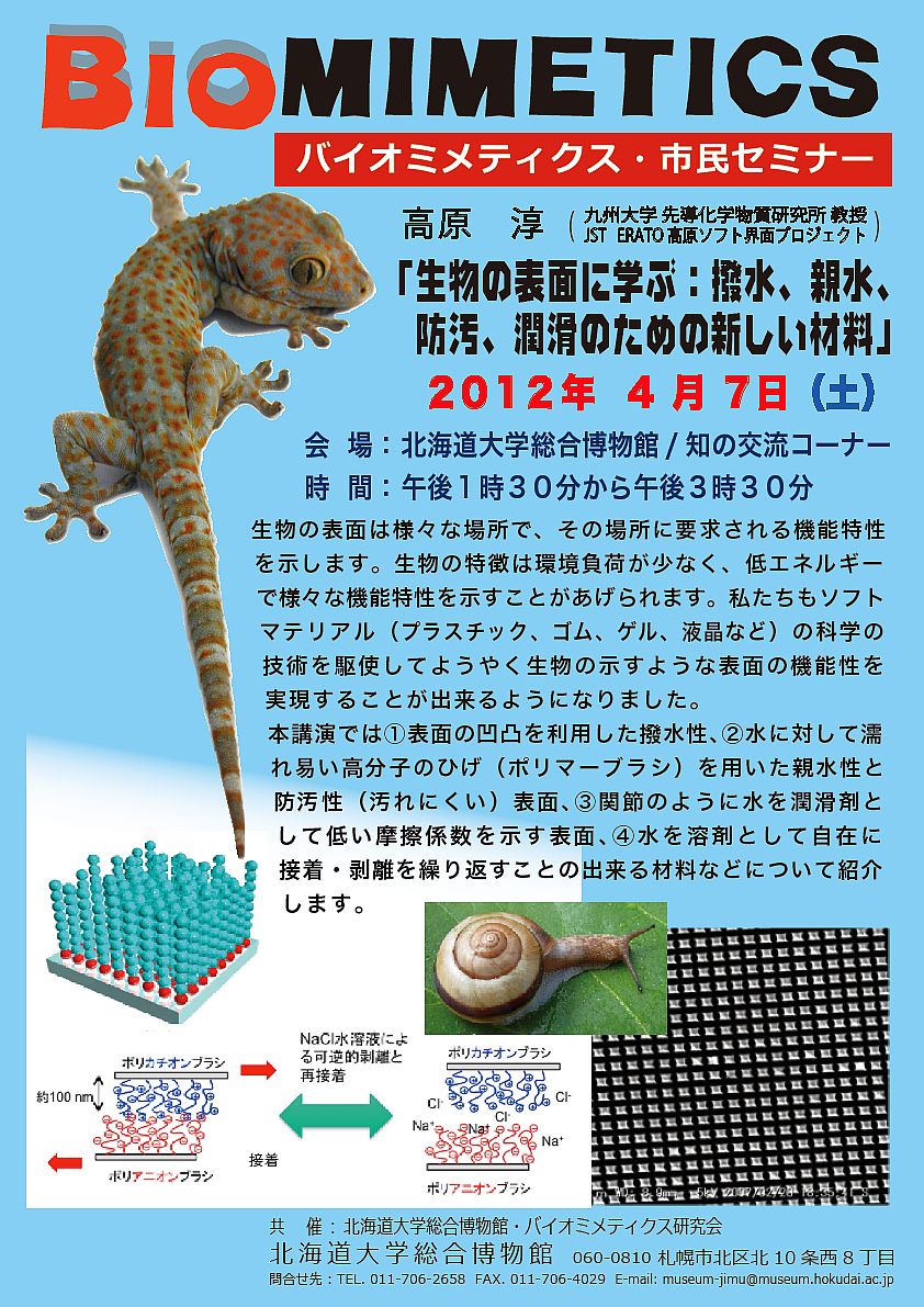 【4月7日 開催】 「バイオミメティクス市民セミナー （第４回） − 生物の表面に学ぶ：撥水、親水、防汚、潤滑のための新しい材料」が開催されます