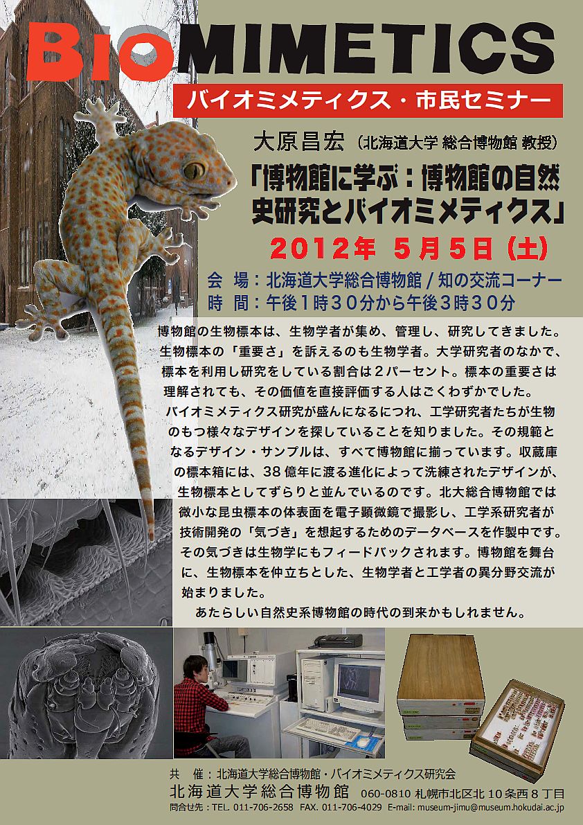 【5月5日 開催】 「バイオミメティクス市民セミナー （第５回） − 博物館に学ぶ：博物館の自然史研究とバイオミメティクス」が開催されます