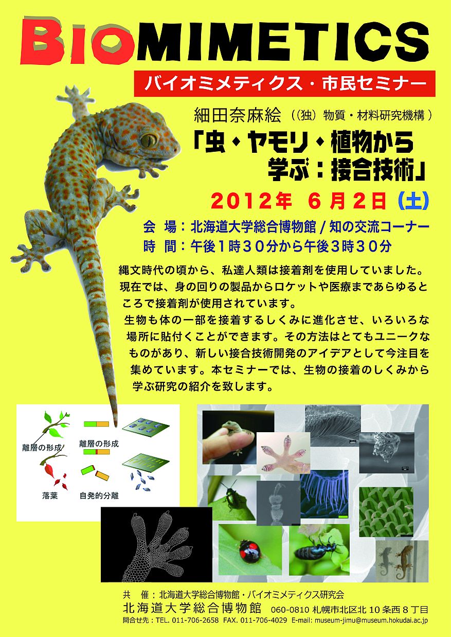 【6月2日 開催】 「バイオミメティクス市民セミナー （第６回） − 虫・ヤモリ・植物から学ぶ：接合技術」が開催されます