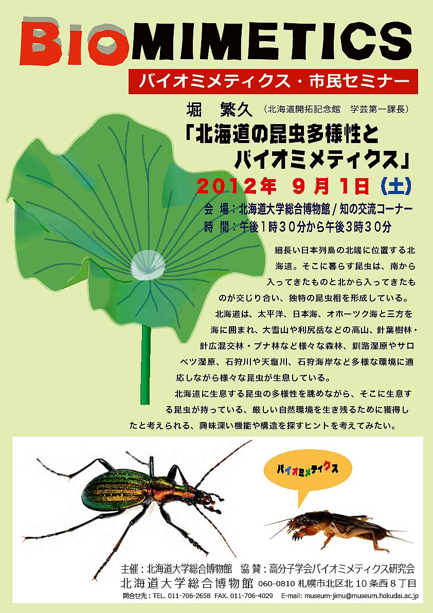 【9月1日 開催】 「バイオミメティクス市民セミナー （第９回） − 北海道の昆虫多様性とバイオミメティクス」が開催されます