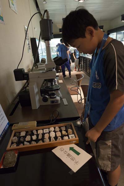 まっクラーク博物館　北海道大学総合博物館