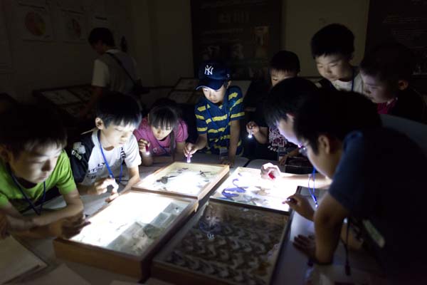 まっクラーク博物館　北海道大学総合博物館