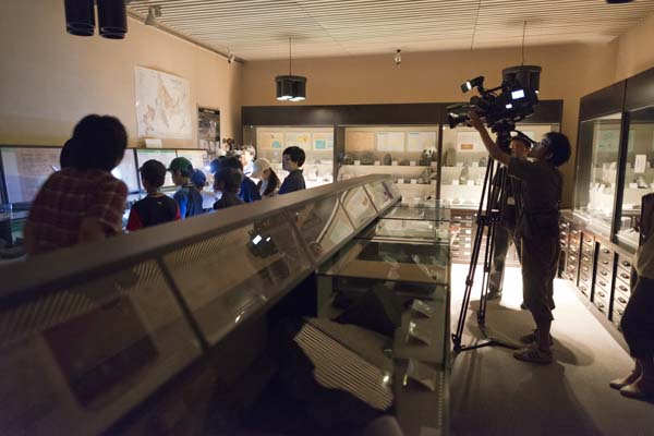 まっクラーク博物館　北海道大学総合博物館