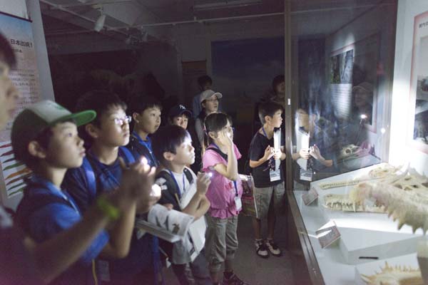 まっクラーク博物館　北海道大学総合博物館