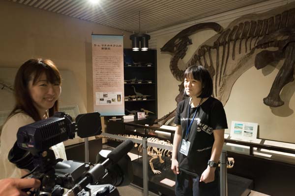 まっクラーク博物館　北海道大学総合博物館