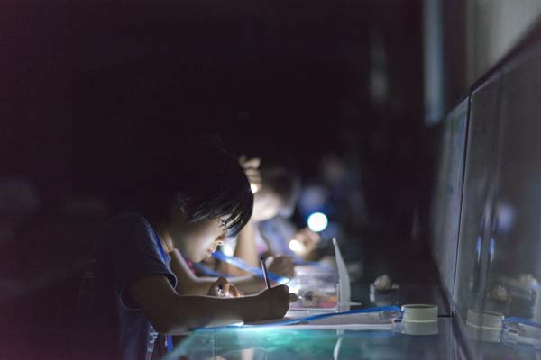 まっクラーク博物館　北海道大学総合博物館