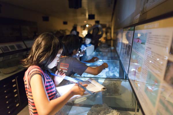 まっクラーク博物館　北海道大学総合博物館