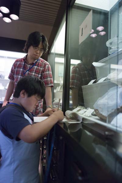 まっクラーク博物館　北海道大学総合博物館