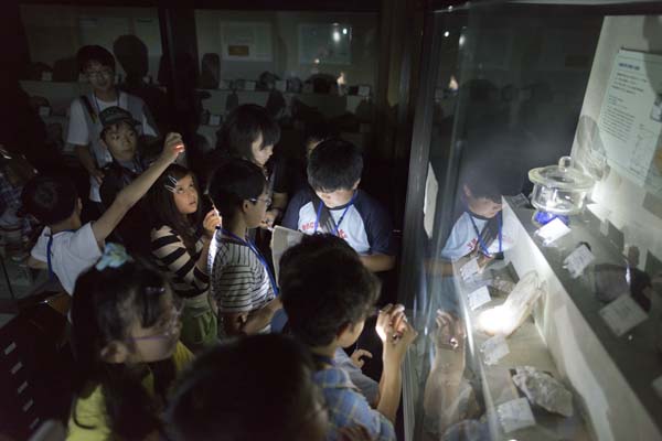 まっクラーク博物館　北海道大学総合博物館