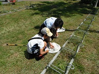 【活動報告】2013年6月29日(土)昆虫パラタクソノミスト養成講座（初級）