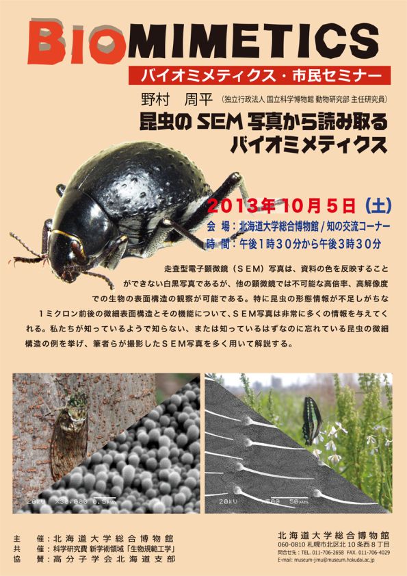 【10月5日 開催】 「バイオミメティクス市民セミナー （第２２回） − “昆虫のＳＥＭ写真から読み取るバイオミメティクス”」