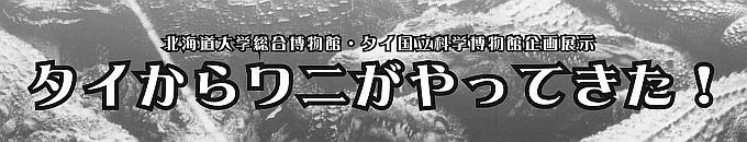 【11月26日 開催】 企画展示 「タイからワニがやってきた！」 公開シンポジウム