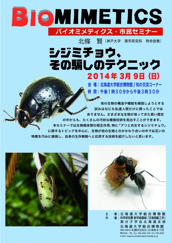 【3月9日 開催】 「バイオミメティクス市民セミナー （第２７回） − “シジミチョウ、その騙しのテクニック”」