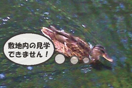 【お知らせ】 札幌農学校第２農場 − 展示公開休止について