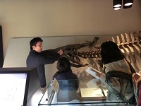 【1月17日開催】「化石パラタクソノミスト養成講座（初級）in 博物館活動センター」受講者募集のお知らせ（応募は締め切りました）