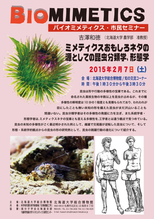 【2月7日 開催】 「バイオミメティクス市民セミナー （第３８回） − “ミメティクスおもしろネタの源としての昆虫分類学、形態学”」