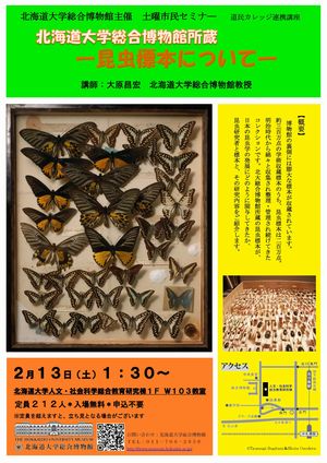 【2月13日開催】第8回土曜市民セミナー「北海道大学総合博物館所蔵―昆虫標本について―」