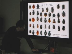 【2月20・21日開催】「昆虫甲虫パラタクソノミスト養成講座（上級）」受講者募集のお知らせ