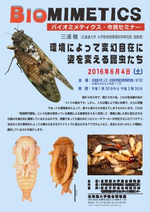 【6月4日開催】 バイオミメティクス市民セミナー （第５４回） −「環境によって変幻自在に姿を変える昆虫たち」