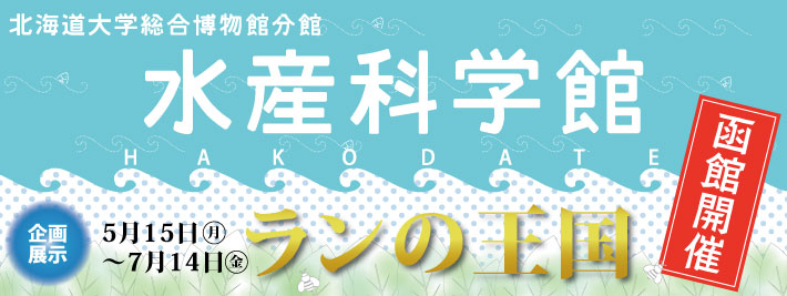 函館水産科学館開催「ランの王国」展