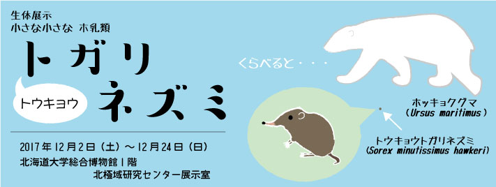 生体展示「小さな小さなホ乳類　トウキョウトガリネズミ」