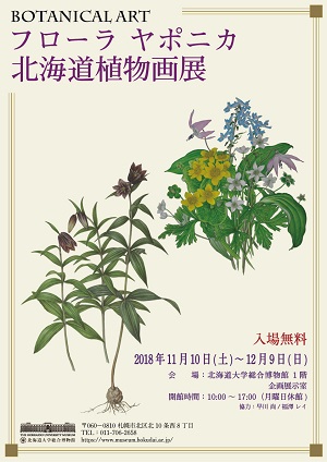 ボタニカルアート フローラ ヤポニカ北海道植物画展 北海道大学総合博物館