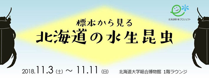 ミニ展示「標本から見る北海道の水生昆虫」