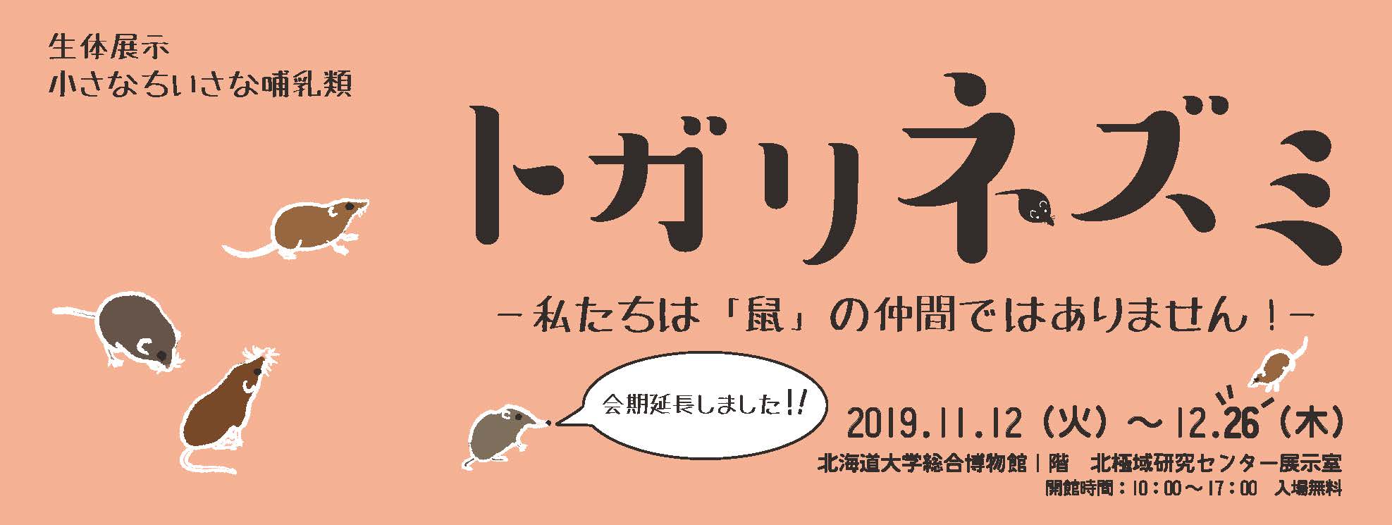 生体展示「小さなちいさな哺乳類 トガリネズミ」会期延長