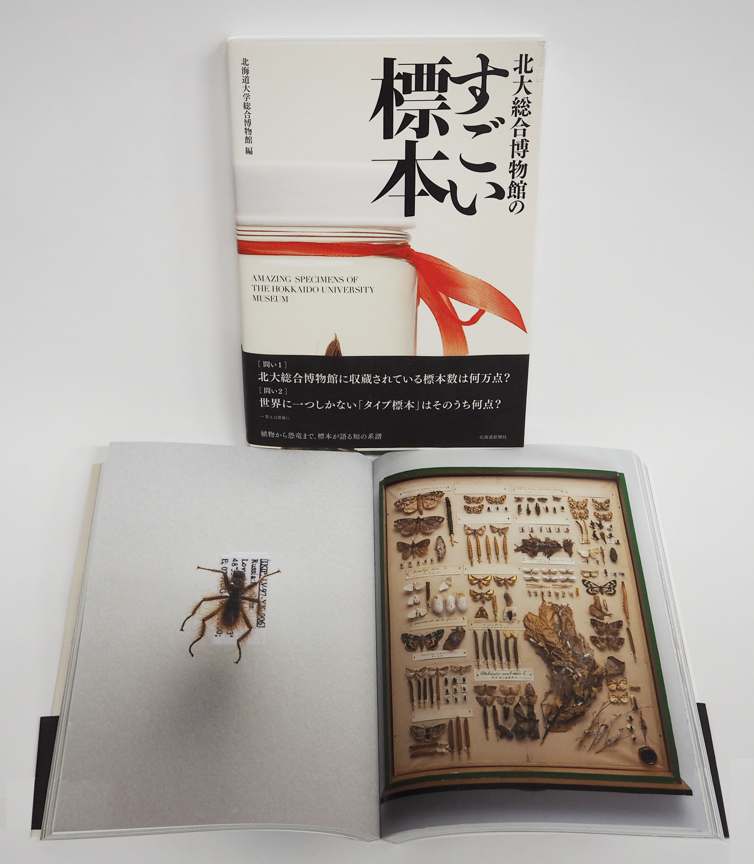 北大総合博物館のすごい標本 発刊のお知らせ 北海道大学総合博物館