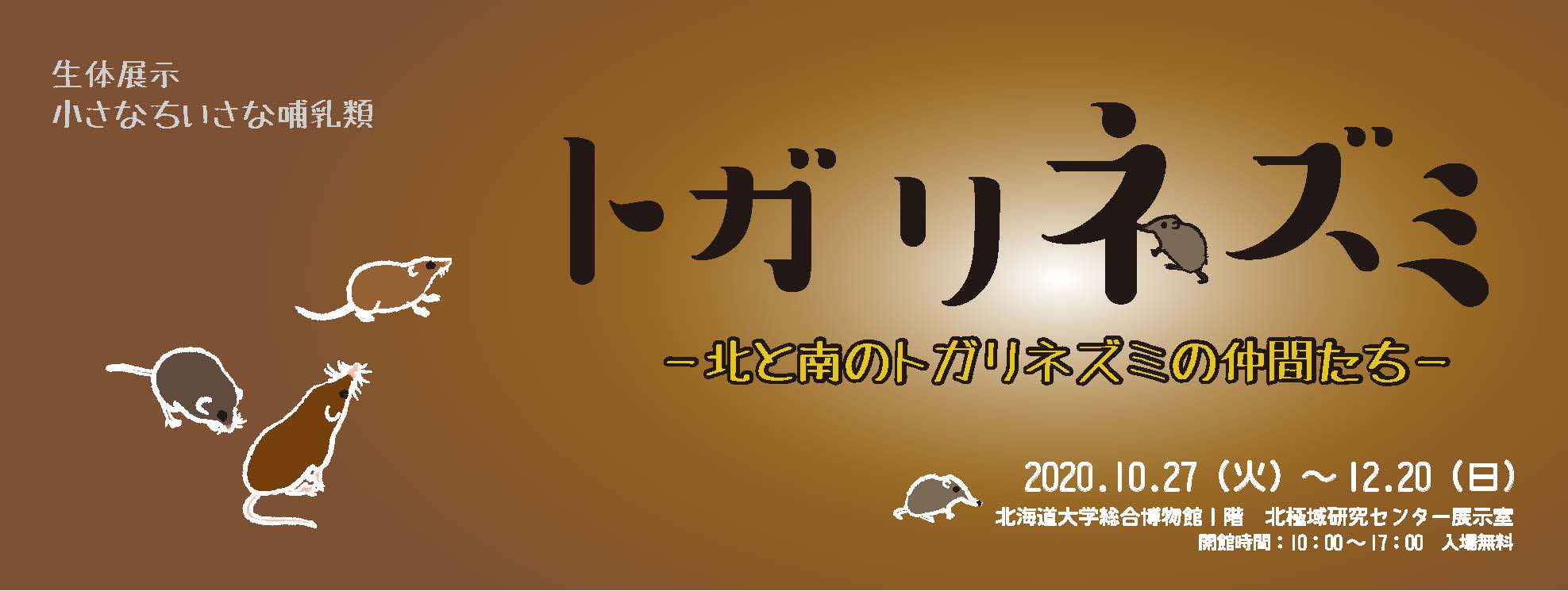 生体展示「小さなちいさな哺乳類 トガリネズミ」