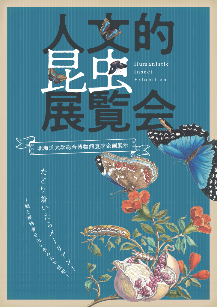 【6月28日(土)~8月31日(日)開催】夏季企画展「人文的昆虫展覧会 – たどり着いたらメーリアン」
