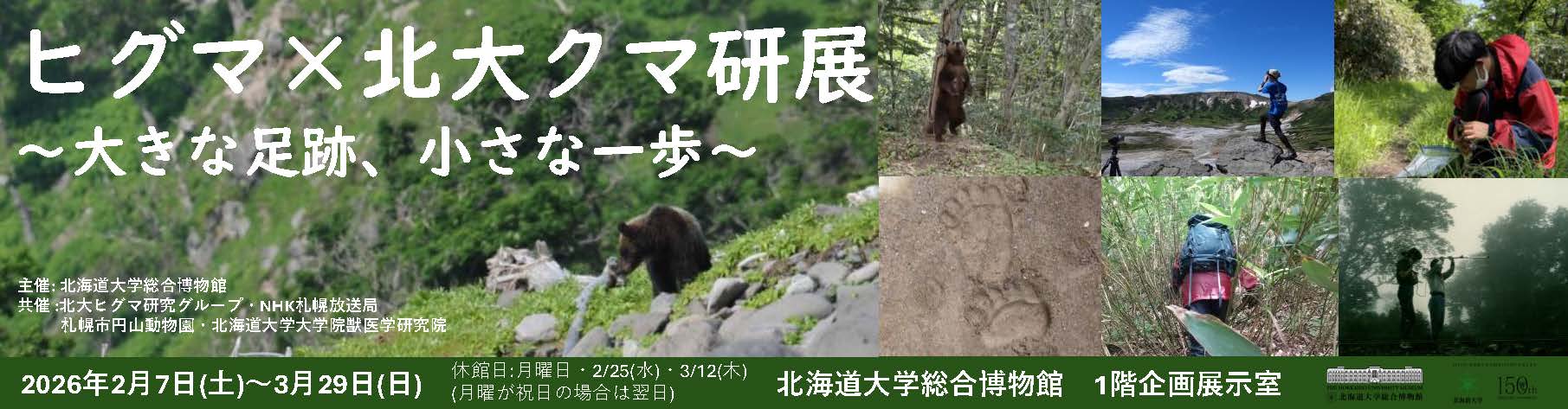 【令和8年2月7日～3月29日開催】企画展 「ヒグマ×北大クマ研展～大きな足跡、小さな一歩～」
